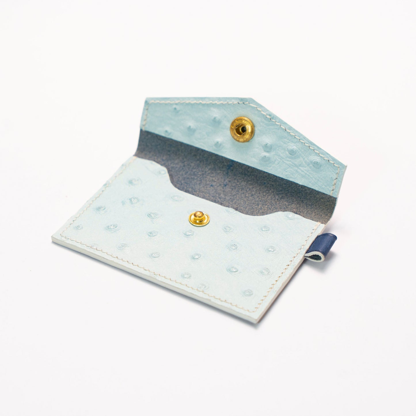 Claudia bleu ciel / struzzo